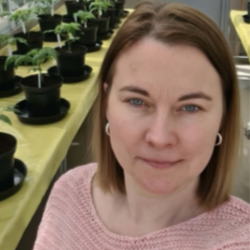 Aleksandra Obrępalska-Stęplowska.png