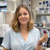 dorota dobrzanska-szoentag.png