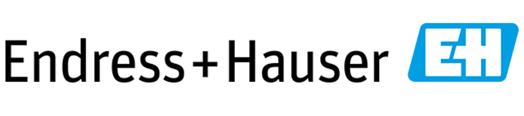 Endress+Hauser 1.png [44.50 KB]